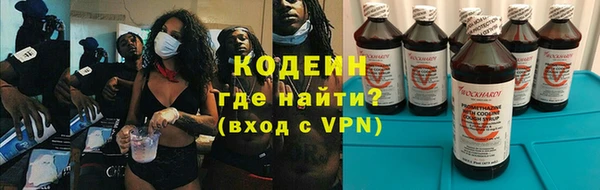прущие грибы Бронницы