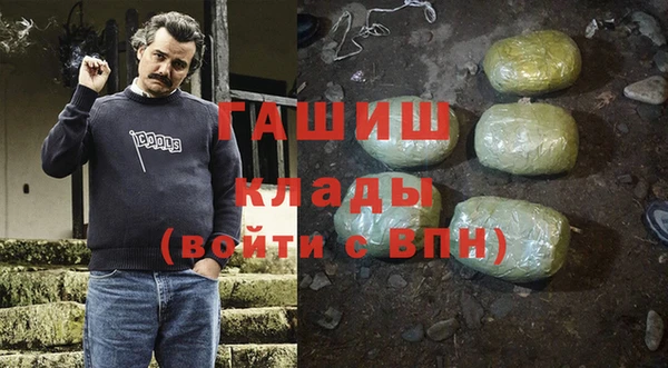 прущие грибы Бронницы