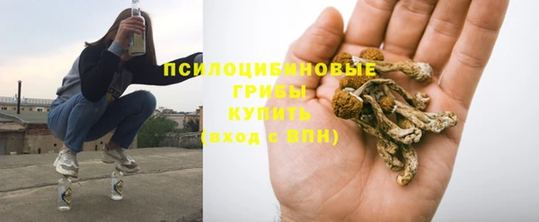 мескалин Бородино