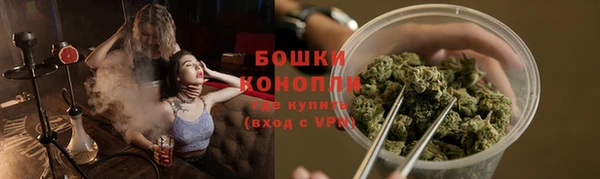 прущие грибы Бронницы