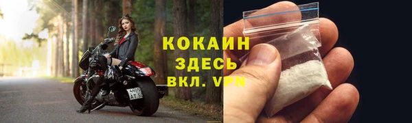 прущие грибы Бронницы