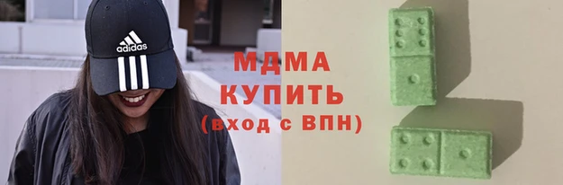 прущие грибы Бронницы