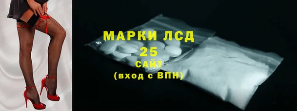 прущие грибы Бронницы