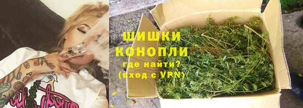 прущие грибы Бронницы