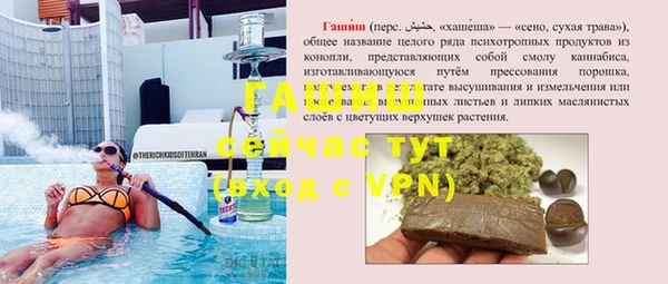 прущие грибы Бронницы
