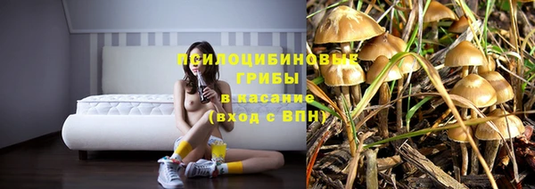 мескалин Бородино
