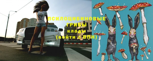 прущие грибы Бронницы